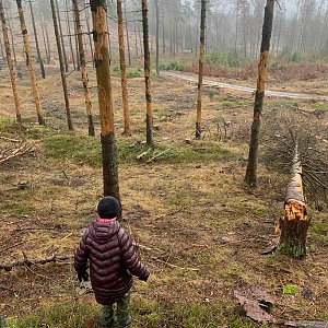 Jan Matiášek na vrcholu Bor (19.2.2024 12:46)