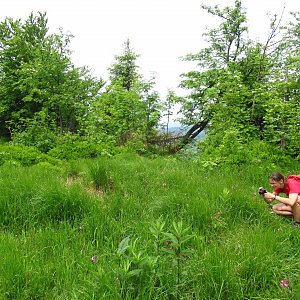 Iveta Válová na vrcholu Bukovec (23.5.2018 11:58)