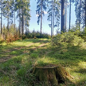 Šárka na vrcholu Klín (30.4.2024 12:24)