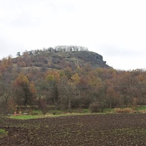 Jiří Škorec na vrcholu Hradiště (17.11.2024 11:35)