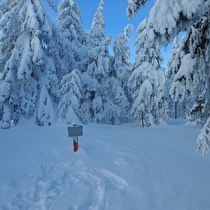 Manjula na vrcholu Jeřáb (30.1.2019 14:00)