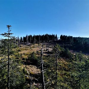 Vladimír Grančay na vrcholu Schönbergfelsen (23.11.2019 11:56)