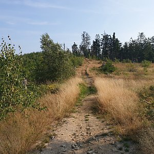 Petr Pepe Peloušek na vrcholu Vysoká (24.8.2019 9:04)