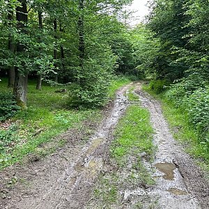 Alexandr Starý na vrcholu Kopeček (26.5.2024 19:45)