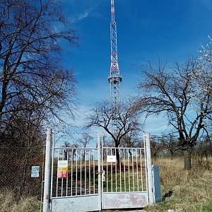 Jiřina na vrcholu Předina (12.4.2022)