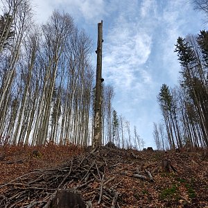 Jana F na vrcholu Gruník (31.3.2023 15:35)