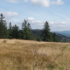 Vladimír Grančay na vrcholu Zwercheck (24.9.2016 15:36)