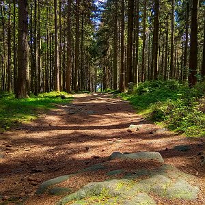 Jiří Králík na vrcholu Suchý kopec (16.5.2020 12:49)