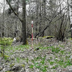 Vladimír Grančay na vrcholu Džbány (13.4.2019 13:14)