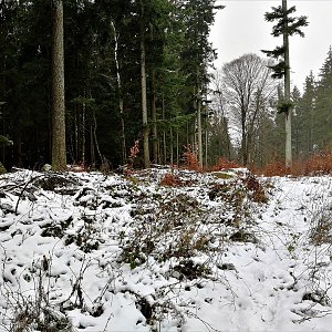 Vladimír Grančay na vrcholu Tábor (31.12.2018 14:15)