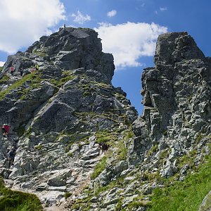 Pája na vrcholu Baníkov (5.7.2018 13:20)