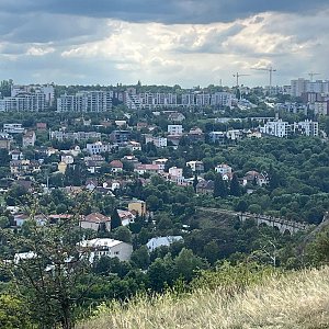 Betička na vrcholu Hradiště Děvín (18.8.2024 14:42)