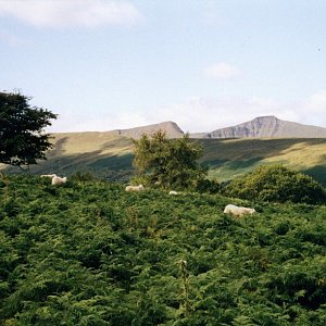 Vratislav Sejkora na vrcholu Pen y Fan (12.8.2002 13:05)