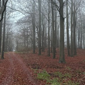 Alexandr Starý na vrcholu Jivina (14.11.2024 16:30)