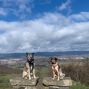 Vendy na vrcholu Úhošť (24.3.2024 10:10)