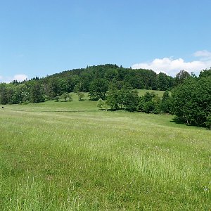 Vladimír Grančay na vrcholu Svobodná hora (13.5.2018 10:31)