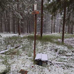 Nojby na vrcholu Počátecký vrch (27.11.2021 14:23)