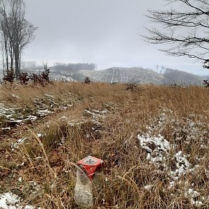 ZdenkaV na vrcholu Javorčí (21.11.2022 11:51)