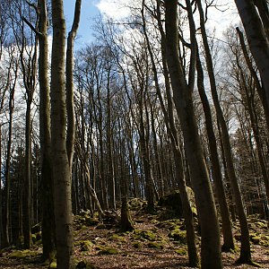 Holi na vrcholu Kamenný vrch (30.4.2023 15:00)