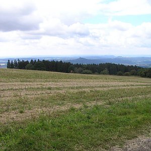 Badger na vrcholu Ředice (25.8.2016 11:00)