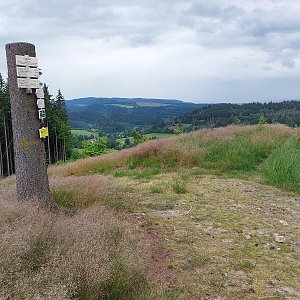 Mykas na vrcholu Turov (13.6.2024 16:05)