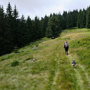 Pája na vrcholu Dlhá lúka (30.6.2018 14:00)