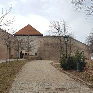 Cesty Haničky a Milana na vrcholu Špilberk (23.2.2019 9:47)