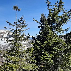 Bodik na vrcholu Chyžky (27.3.2022 10:00)