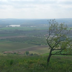 Valča na vrcholu Svatý kopeček (7.5.2023 10:26)