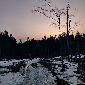 daja.cz na vrcholu Kršla (25.2.2021 18:13)