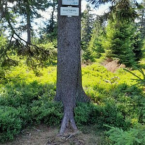 Jozef Farkaš na vrcholu Smrek Trójkrajny (4.8.2022 13:01)