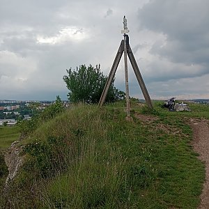 Aralk na vrcholu Stránská skála (18.5.2024 16:41)