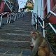 Jan Matiášek na vrcholu Swayambhu hill (3.9.2024 14:45)