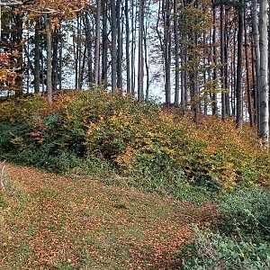 PA!WELL na vrcholu Malá Kykula V vrchol (29.10.2023 14:22)