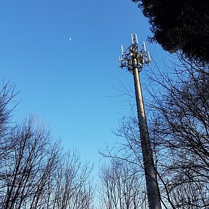 Marcela Kubíčková na vrcholu Včelín (11.3.2022 16:55)