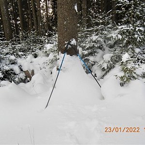 PA!WELL na vrcholu Kozí hřbety JZ (23.1.2022 10:24)