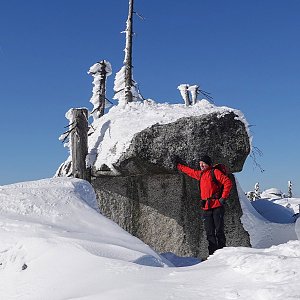 Divočák na vrcholu Nad Rakouskou loukou (9.2.2023 13:03)