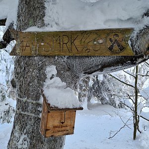 Katka na vrcholu Malý Smrk (21.1.2021 15:30)