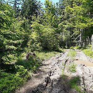 ZdenkaV na vrcholu Bařiny - V (16.6.2021)