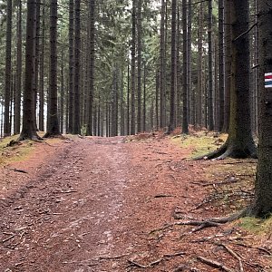 Alexandr Starý na vrcholu Bařiny - V2 (21.11.2021 15:15)