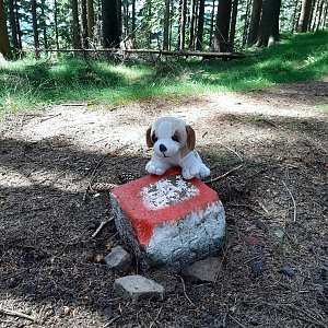 ZdenkaV na vrcholu Bařiny - V2 (16.6.2021)