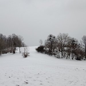 Iva Purmenská na vrcholu Na Peklech SZ (21.3.2021 16:02)