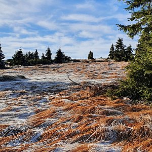 p_e_t_r_95 na vrcholu Jelení hřbet (21.11.2020)