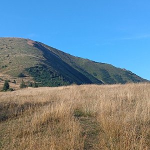 Milda na vrcholu Stoh (24.8.2024 16:33)