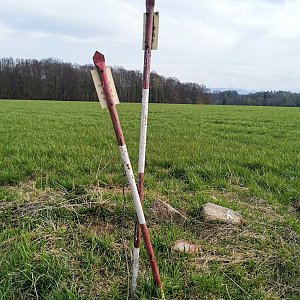 Šárka na vrcholu Klínec (29.4.2021 15:42)