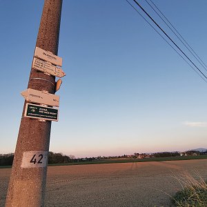 Šárka na vrcholu Majerovec (10.5.2021 20:47)