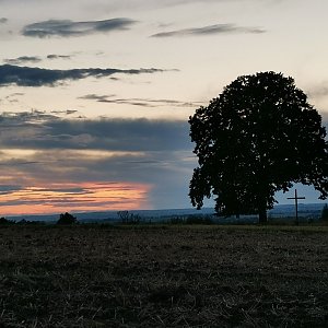 Šárka na vrcholu Majerovec (27.8.2021 19:26)