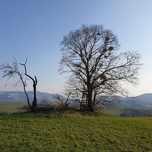 Petr Pepe Peloušek na vrcholu Pod Olšemi (21.4.2021 17:50)