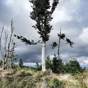 Martin Petřík na vrcholu Magura (28.8.2021 13:33)