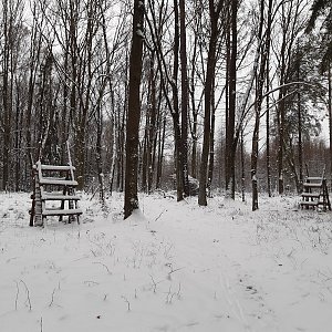 ZdenkaV na vrcholu Místecký les (11.1.2024 11:44)